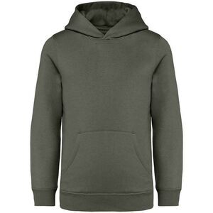 Native Spirit Childrens/Kids Hoodie / Natural Khaki